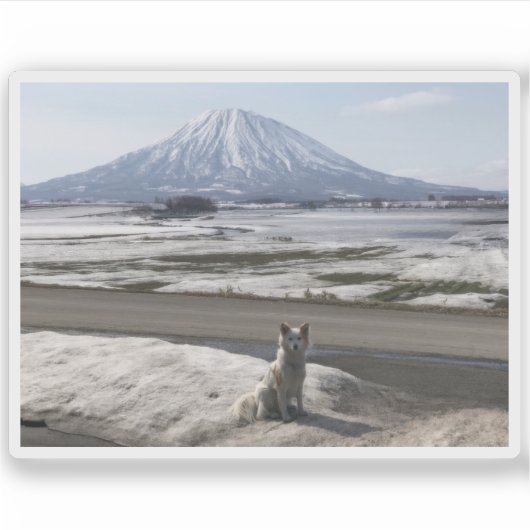 柴犬 シール (正面)