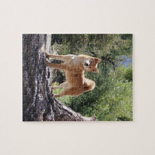 柴犬 ジグソーパズル (横)