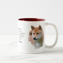 柴犬