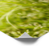 柴犬 ポスター (角)