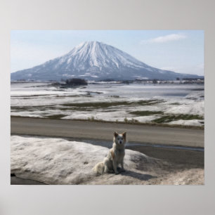 柴犬 ポスター