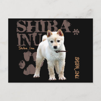 柴犬 ポストカード