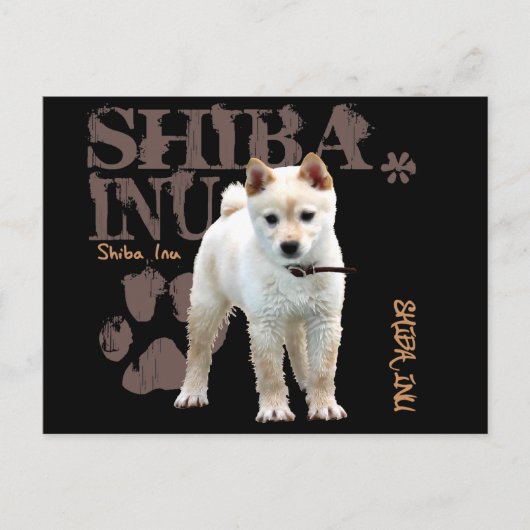 柴犬 ポストカード (正面)