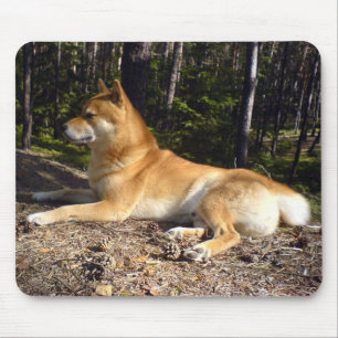 柴犬 マウスパッド