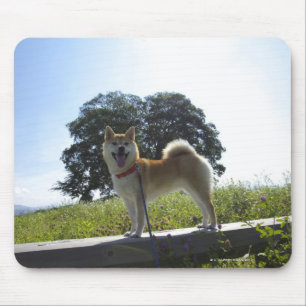 柴犬 マウスパッド
