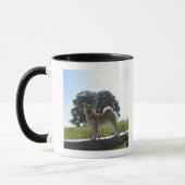 柴犬 マグカップ (左)