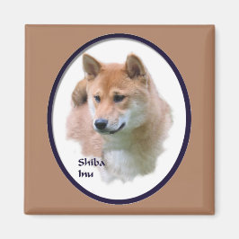 柴犬 マグネット
