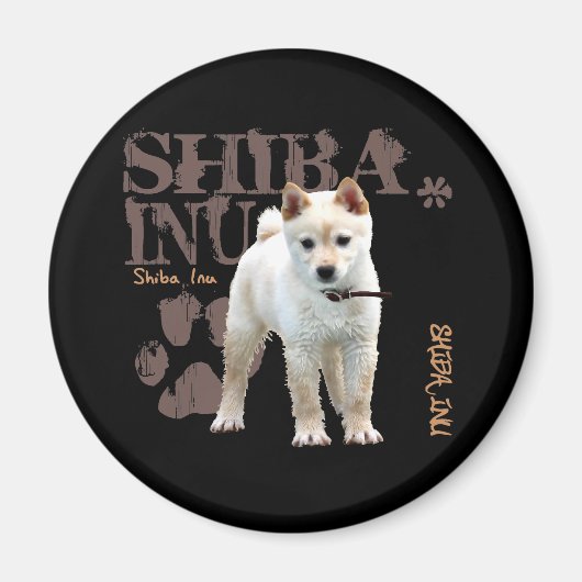 柴犬 マグネット (正面)