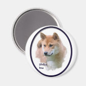 柴犬 マグネット (正面/裏面)