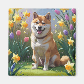 柴犬 春の花の絵 マグネット (正面)