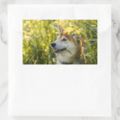 柴犬 長方形シール (バッグ)