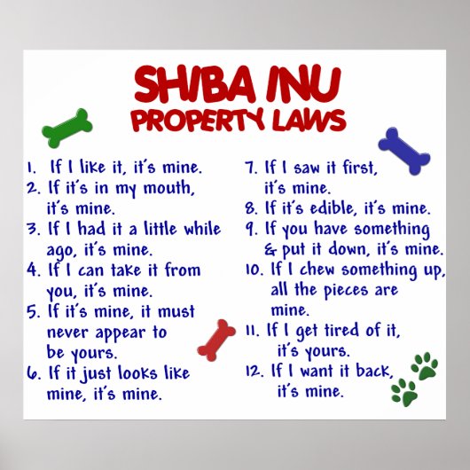 柴犬PL2 ポスター (正面)