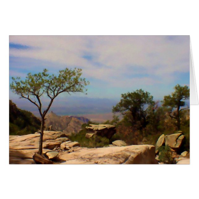 柵からの眺め (正面横)