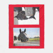 柵で噛む馬 フリースブランケット (正面)