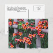 柵に沿った花 ポストカード (正面/裏面)