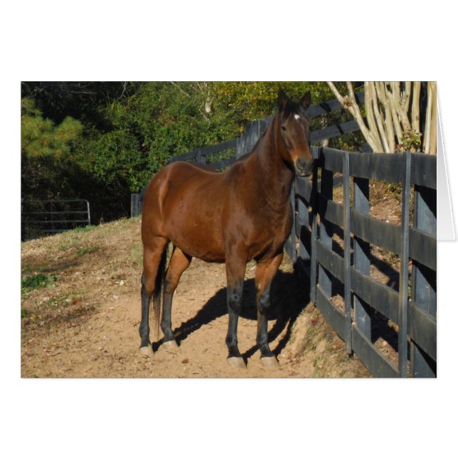 柵に馬の茶色を付ける (正面横)