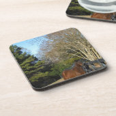 柵に馬の茶色を付ける コースター (左側)