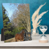 柵に馬の茶色を付ける フォトプラーク (側面)