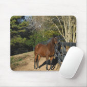 柵に馬の茶色を付ける マウスパッド (マウス)