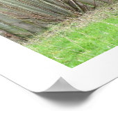 柵のそばに立つオカピ ポスター (角)