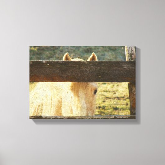 柵の中を覗き込む キャンバスプリント (正面)