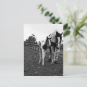 柵の向こうを歩く ポストカード (スタンド正面)