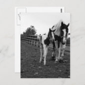 柵の向こうを歩く ポストカード (正面/裏面)