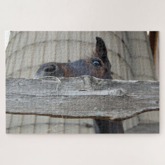 柵の向こうを見ている馬 ジグソーパズル