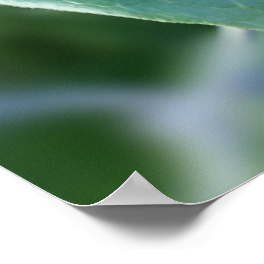 柵を越えて ポスター (角)