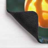 柿のフルーツ マウスパッド (コーナー)