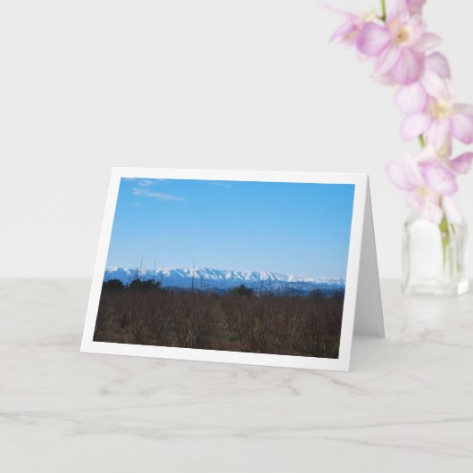 柿の実畑と雪山 カード (蘭)