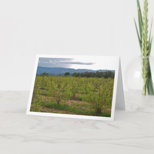 柿の木と山水 カード (正面)