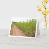 柿の木の春 カード (黄色い花)