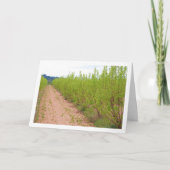 柿の木の春 カード (正面)