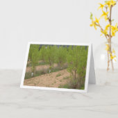 柿の木の春 カード (黄色い花)