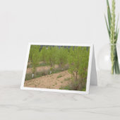 柿の木の春 カード (正面)