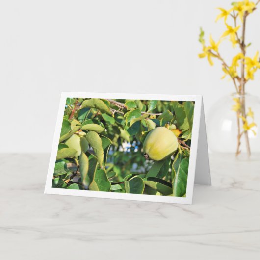 柿の木の肖像 カード (黄色い花)