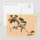 柿の木の鳥 ポストカード (正面/裏面)