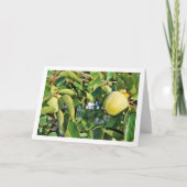 柿の木ポートレート カード (正面)