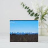 柿の畑の向こうに雪山 ポストカード (スタンド正面)