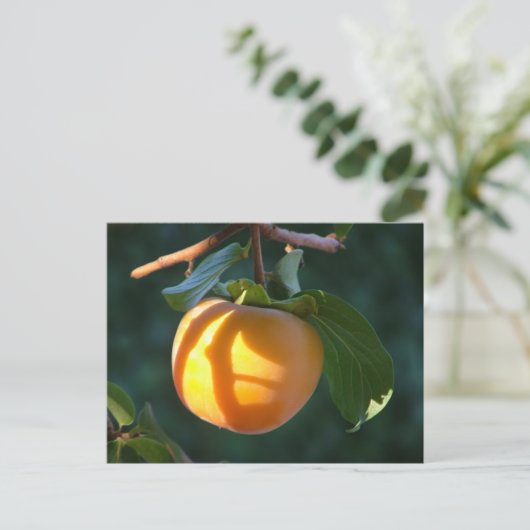 柿はがき ポストカード (スタンド正面)