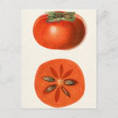 柿フルーツウォーター絵画の色 ポストカード (正面)