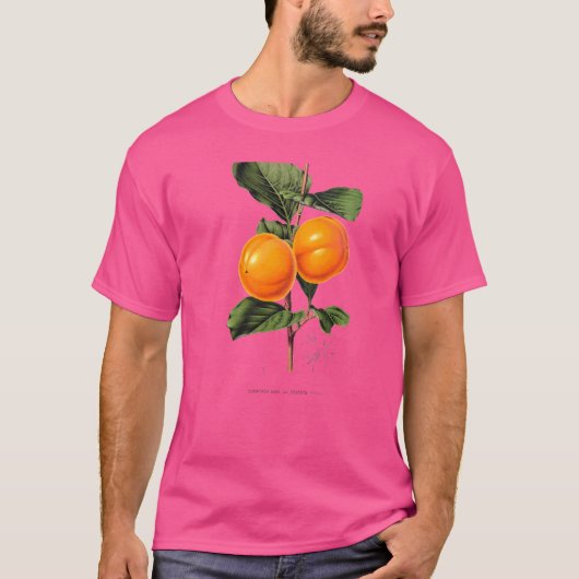 柿フルーツヴィンテージフルーツプリント植物学 Tシャツ (正面)