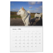 柿丸暦2025年 カレンダー (1月 2026)