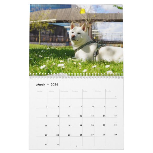 柿丸暦2025年 カレンダー (3月 2026)