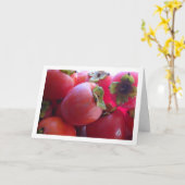 柿果 カード (黄色い花)