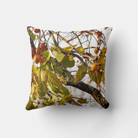 柿 クッション (裏面)