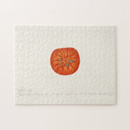 柿(Diospyros)フルーツウォーター絵画の色 ジグソーパズル