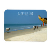 栄光のゴア – 南ゴアのビーチ上の牛 マグネット (横)