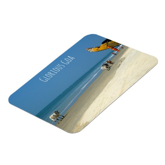 栄光のゴア – 南ゴアのビーチ上の牛 マグネット (左側)